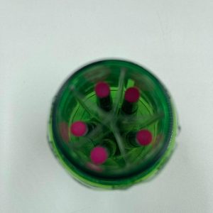 Bodega Boyz Shorties Pre rolls